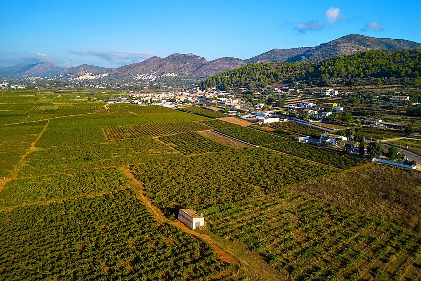 LlíberMedvilla Spanje
