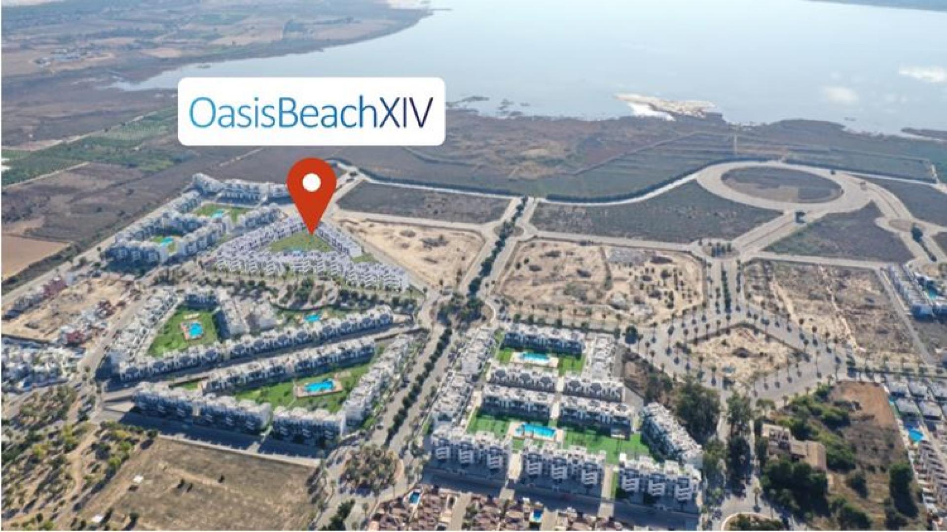Oasis Beach XIV