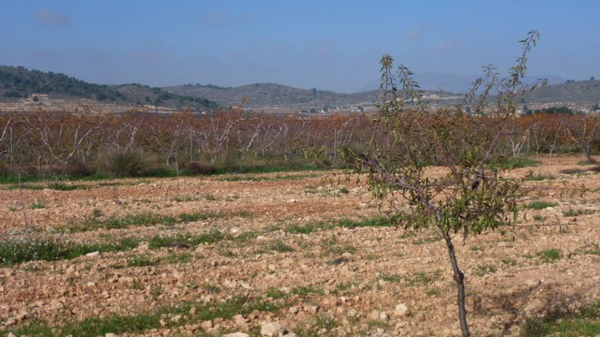 Bouwgronden te koop in Cañada de la Leña, Murcia in Medvilla Spanje