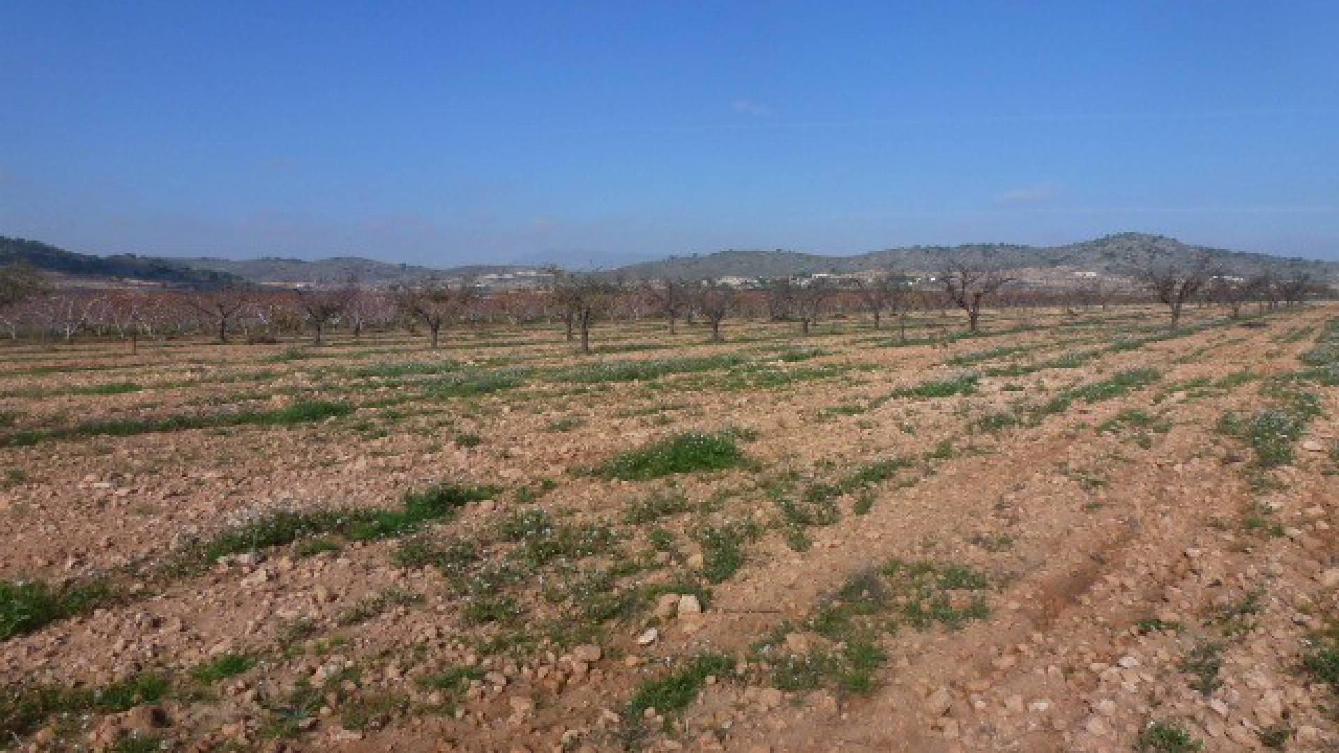 Bouwgronden te koop in Cañada de la Leña, Murcia in Medvilla Spanje