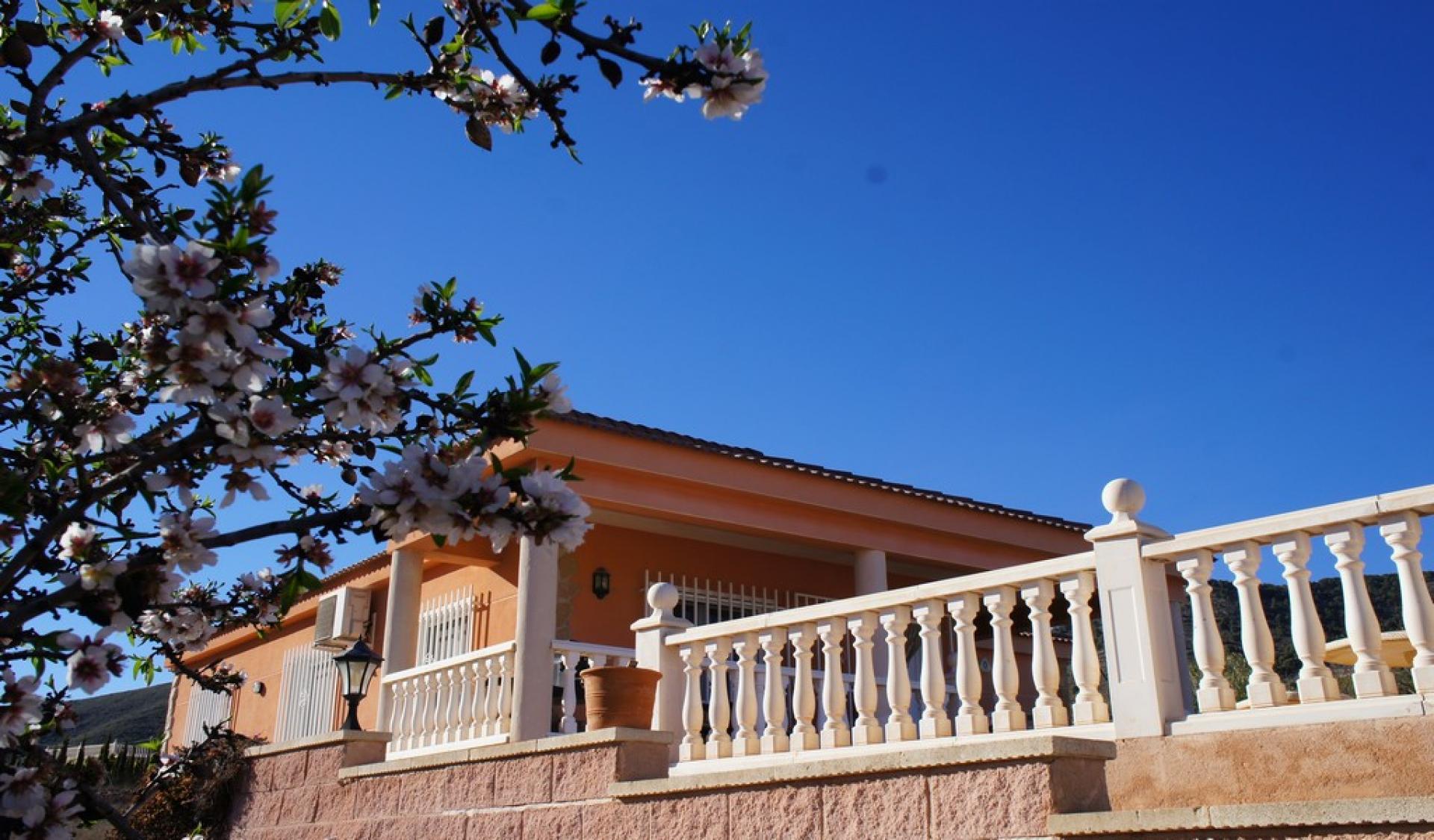 Prachtige villa met privé zwembad in La Romana in Medvilla Spanje